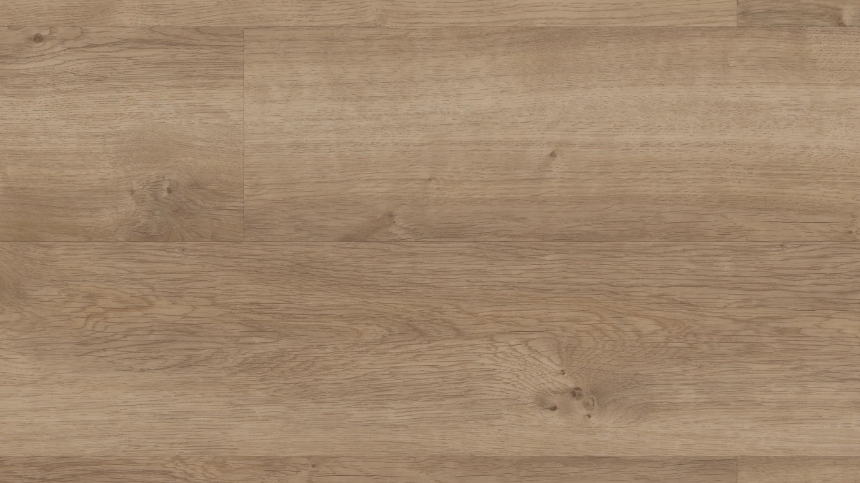 Copano Oak | COREtec Pro Plus | Oak Flooring